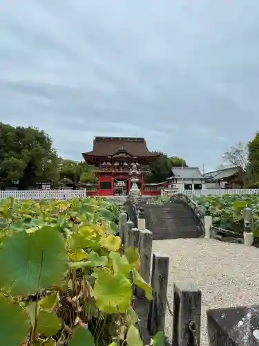 伊賀八幡宮(愛知県)