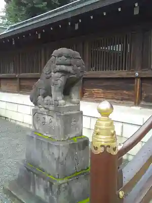 井草八幡宮の狛犬