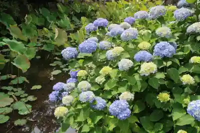 朝田寺(三重県)