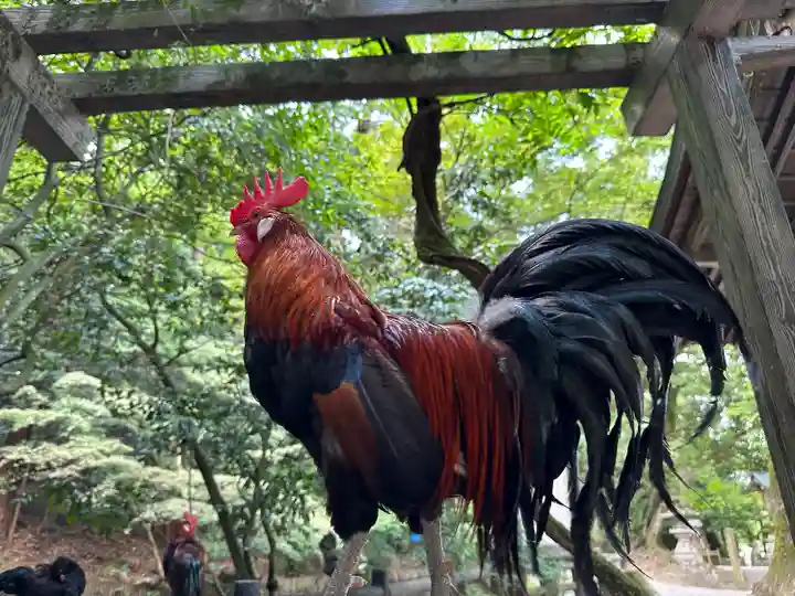 石上神宮(奈良県)