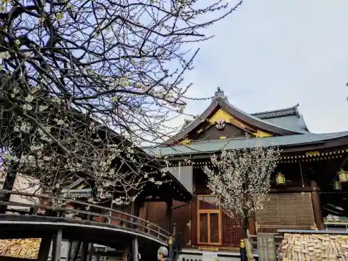 湯島天満宮(東京都)