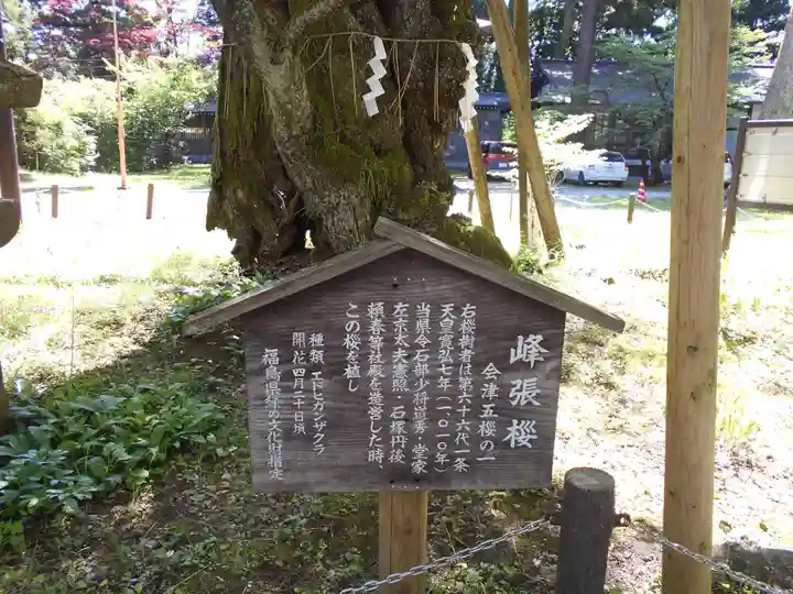 蠶養國神社(福島県)