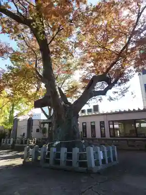 阿邪訶根神社の自然