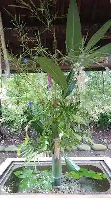 赤坂氷川神社の手水舎