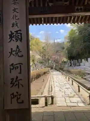 光触寺(神奈川県)