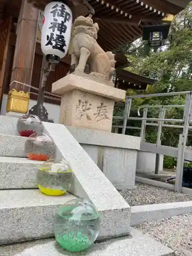 伊和志津神社の狛犬