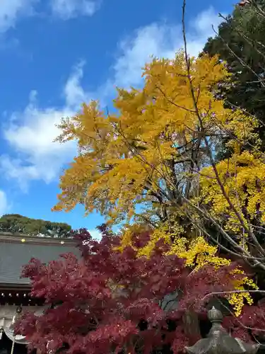 金比羅社(愛知県)