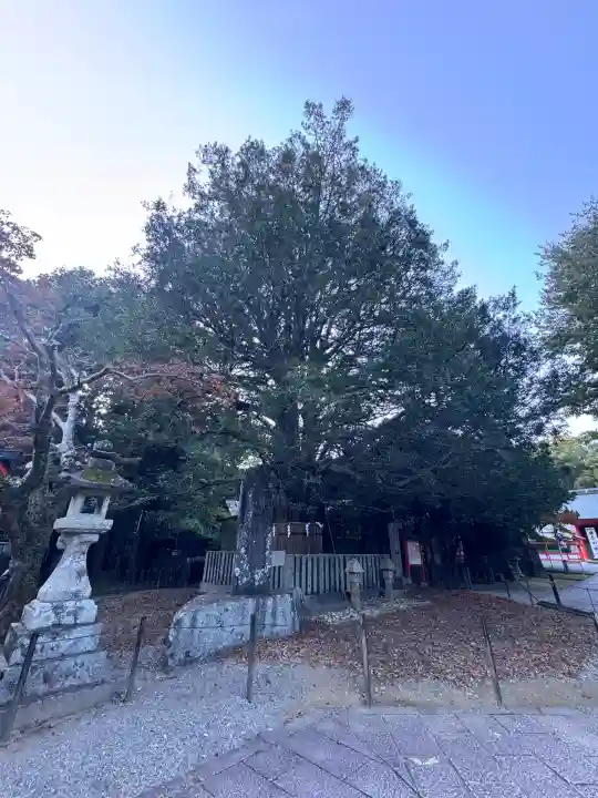 熊野速玉大社(和歌山県)