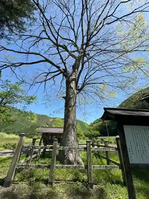 旗挙八幡宮(長野県)