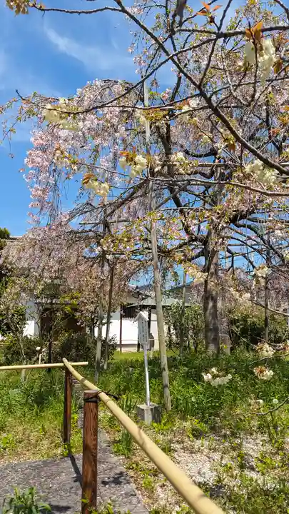 橋寺 放生院(京都府)