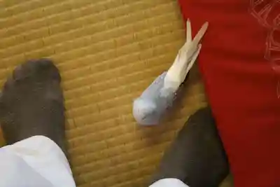 八幡神社(千葉県)