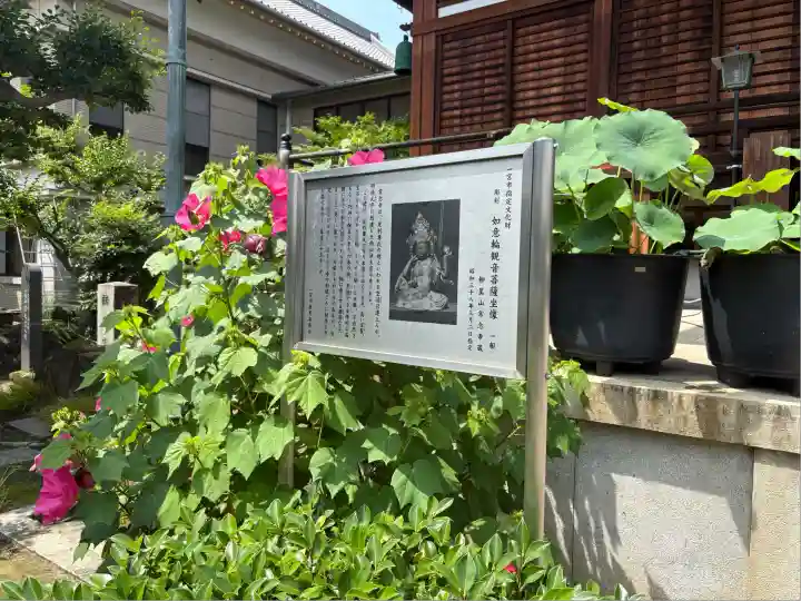 常念寺(愛知県)