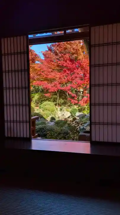 源光庵(京都府)