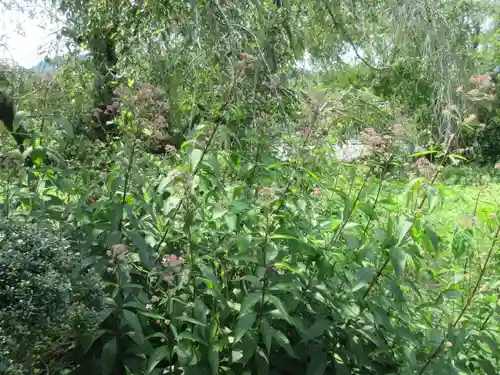 法善寺(埼玉県)