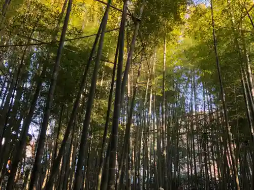 報国寺(神奈川県)