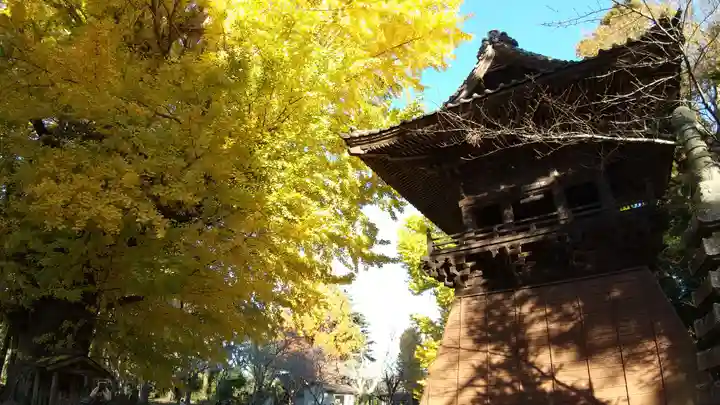 西蓮寺(茨城県)
