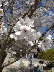 賀羅加波神社(広島県)