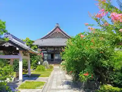 成満寺の本殿・本堂