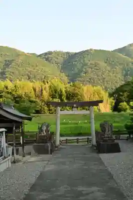 伊射奈美神社(徳島県)