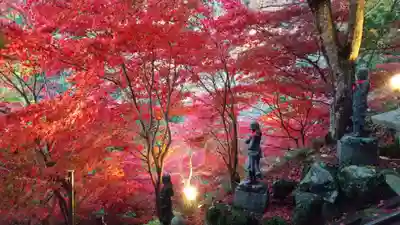 大山寺(神奈川県)