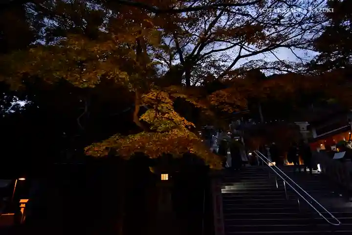 大山阿夫利神社のその他建物