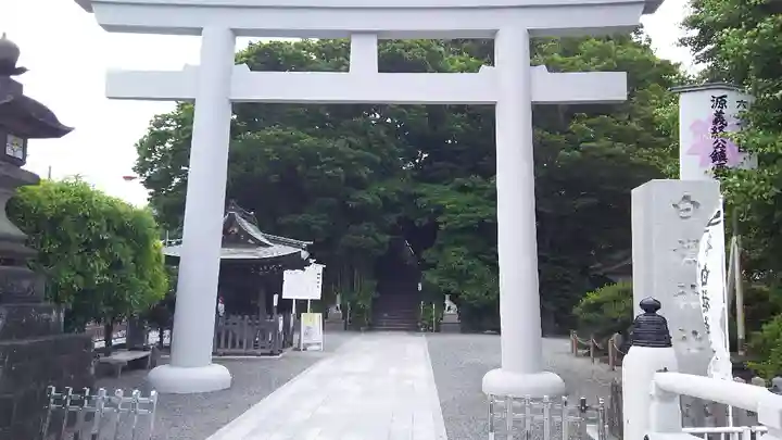 白旗神社の鳥居