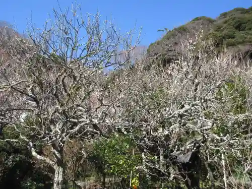 光則寺の景色