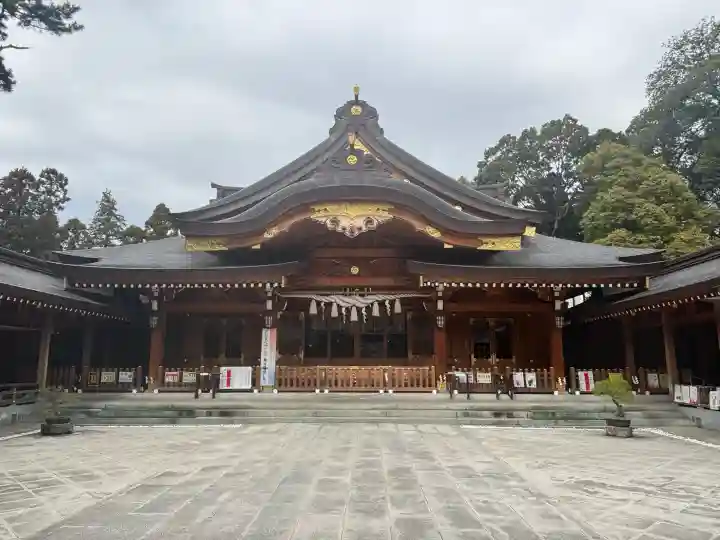 亀ケ池八幡宮の{uncategorized: "未分類", other: "その他", undefined: "問題あり", building: "その他建物", grave: "お墓", sacred_gate: "鳥居", guardian: "狛犬", statue: "像", buddha: "仏像", history: "歴史", nature: "自然", garden: "庭園", animal: "動物", pagoda: "塔", temizu: "手水舎", mountain_gate: "山門・神門", sanctuary: "本殿・本堂", subordinate: "末社・摂社", art: "芸術", scenery: "景色", jizo: "地蔵", ema: "絵馬", goshuin: "御朱印", omikuji: "おみくじ", items: "授与品その他", amulet: "お守り", goshuincho: "御朱印帳", eats: "食事", festival: "お祭り", votive_dance: "神楽", shichigosan: "七五三参", wedding: "結婚式", experience: "体験その他", initially: "初詣", around: "周辺", anti_infection: "感染症対策"}