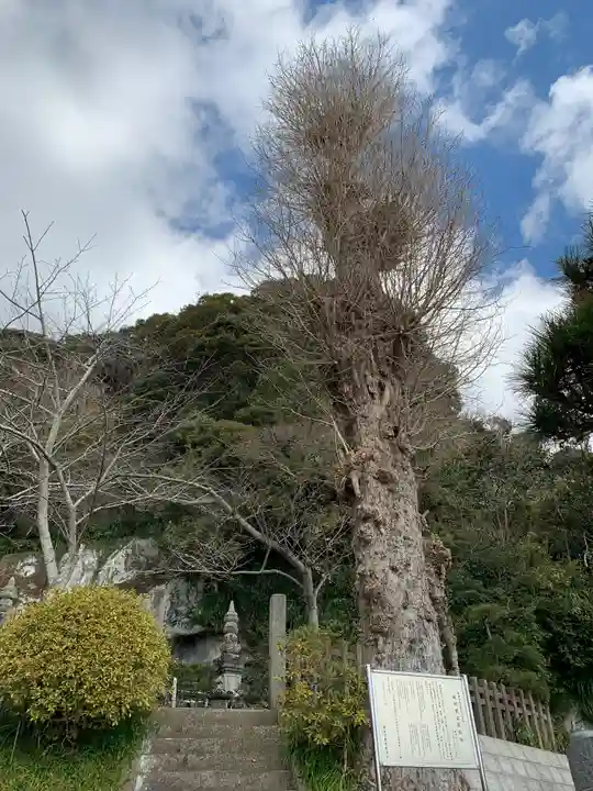 覚翁寺のその他建物