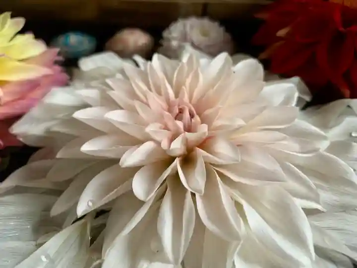 滑川神社 - 仕事と子どもの守り神の手水舎