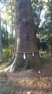 土佐神社(高知県)