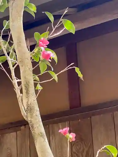 霊鑑寺門跡の自然