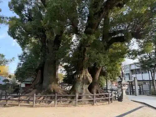 春日神社の{uncategorized: "未分類", other: "その他", undefined: "問題あり", building: "その他建物", grave: "お墓", sacred_gate: "鳥居", guardian: "狛犬", statue: "像", buddha: "仏像", history: "歴史", nature: "自然", garden: "庭園", animal: "動物", pagoda: "塔", temizu: "手水舎", mountain_gate: "山門・神門", sanctuary: "本殿・本堂", subordinate: "末社・摂社", art: "芸術", scenery: "景色", jizo: "地蔵", ema: "絵馬", goshuin: "御朱印", omikuji: "おみくじ", items: "授与品その他", amulet: "お守り", goshuincho: "御朱印帳", eats: "食事", festival: "お祭り", votive_dance: "神楽", shichigosan: "七五三参", wedding: "結婚式", experience: "体験その他", initially: "初詣", around: "周辺", anti_infection: "感染症対策"}