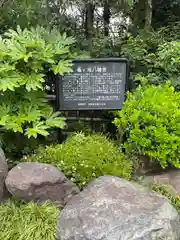 亀ケ池八幡宮の歴史