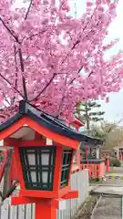 車折神社の自然