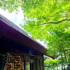 縣居神社の建物その他