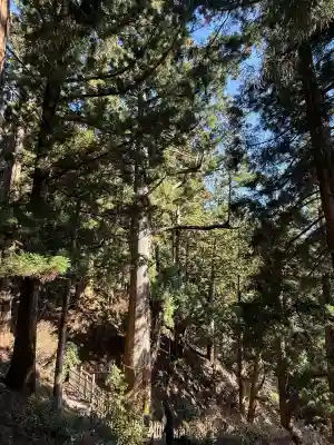 玉置神社(奈良県)