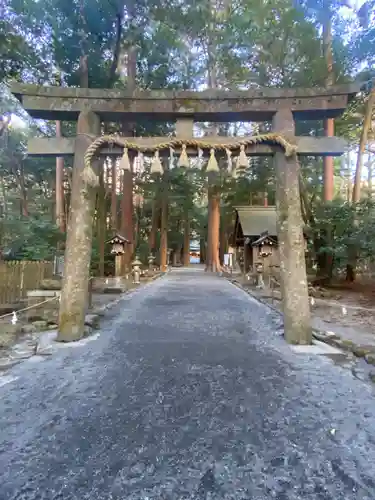 椿大神社の鳥居