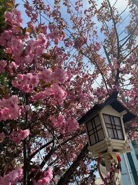 新琴似神社の{uncategorized: "未分類", other: "その他", undefined: "問題あり", building: "その他建物", grave: "お墓", sacred_gate: "鳥居", guardian: "狛犬", statue: "像", buddha: "仏像", history: "歴史", nature: "自然", garden: "庭園", animal: "動物", pagoda: "塔", temizu: "手水舎", mountain_gate: "山門・神門", sanctuary: "本殿・本堂", subordinate: "末社・摂社", art: "芸術", scenery: "景色", jizo: "地蔵", ema: "絵馬", goshuin: "御朱印", omikuji: "おみくじ", items: "授与品その他", amulet: "お守り", goshuincho: "御朱印帳", eats: "食事", festival: "お祭り", votive_dance: "神楽", shichigosan: "七五三参", wedding: "結婚式", experience: "体験その他", initially: "初詣", around: "周辺", anti_infection: "感染症対策"}