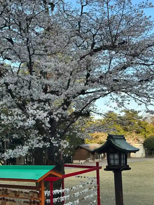 群馬県護国神社(群馬県)