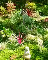 寿量山 速成寺の自然