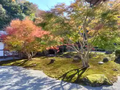 長壽寺（長寿寺）(神奈川県)