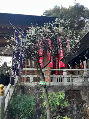 東京大神宮(東京都)