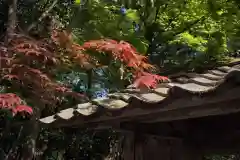 若狭神宮寺の建物その他