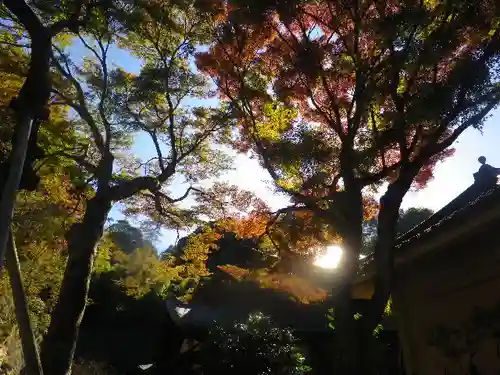 瑞泉寺のその他建物