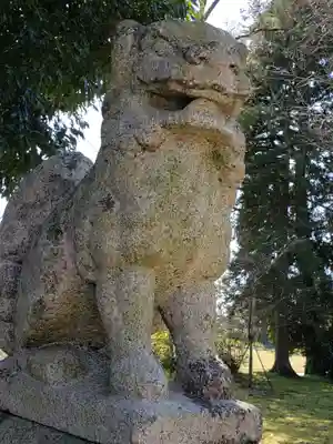 小杉神社の狛犬