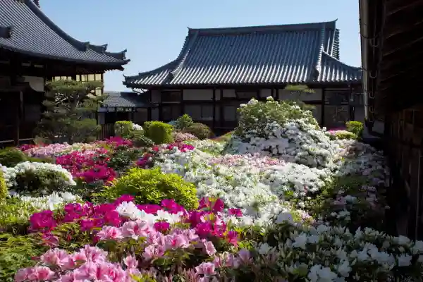 法雲寺(大阪府)