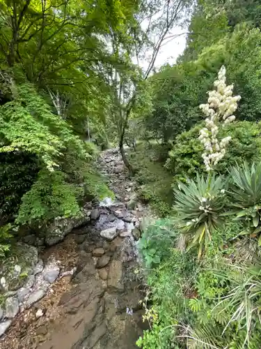 中山神社の周辺