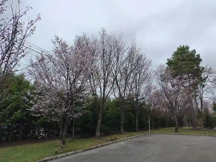 美瑛神社の自然