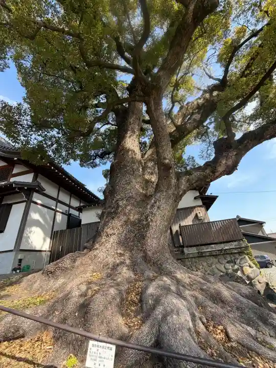 栖光院の{uncategorized: "未分類", other: "その他", undefined: "問題あり", building: "その他建物", grave: "お墓", sacred_gate: "鳥居", guardian: "狛犬", statue: "像", buddha: "仏像", history: "歴史", nature: "自然", garden: "庭園", animal: "動物", pagoda: "塔", temizu: "手水舎", mountain_gate: "山門・神門", sanctuary: "本殿・本堂", subordinate: "末社・摂社", art: "芸術", scenery: "景色", jizo: "地蔵", ema: "絵馬", goshuin: "御朱印", omikuji: "おみくじ", items: "授与品その他", amulet: "お守り", goshuincho: "御朱印帳", eats: "食事", festival: "お祭り", votive_dance: "神楽", shichigosan: "七五三参", wedding: "結婚式", experience: "体験その他", initially: "初詣", around: "周辺", anti_infection: "感染症対策"}